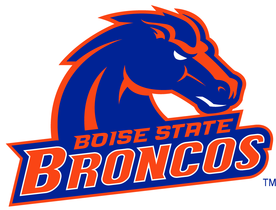 Boise State Broncos 2002-2012 Secondary Logo v20 DIY iron on transfer (heat transfer)